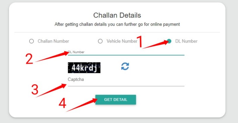 E-Challan Status Online Check